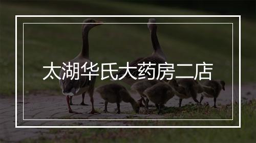 太湖华氏大药房二店