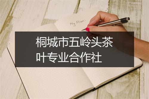 桐城市五岭头茶叶专业合作社