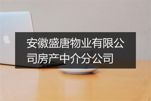 安徽盛唐物业有限公司房产中介分公司