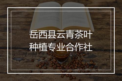 岳西县云青茶叶种植专业合作社