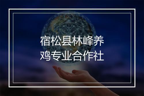 宿松县林峰养鸡专业合作社