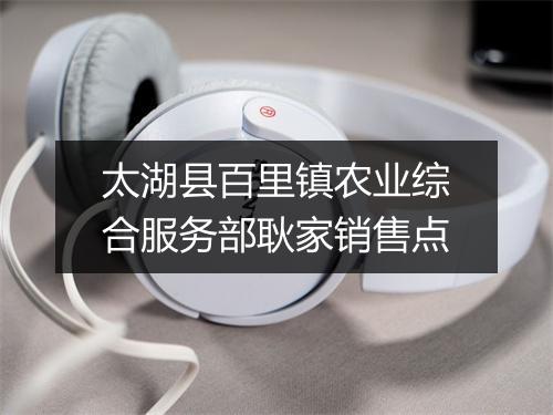 太湖县百里镇农业综合服务部耿家销售点