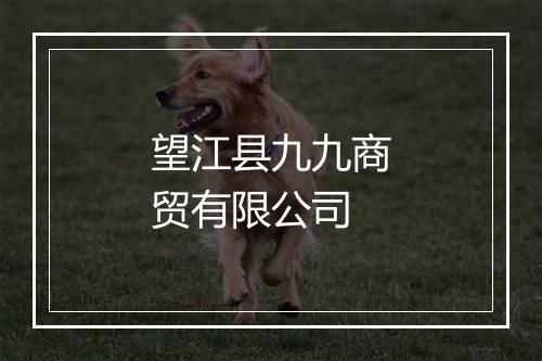 望江县九九商贸有限公司