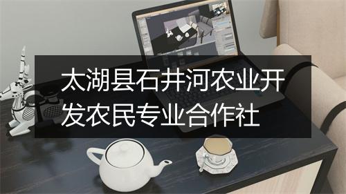 太湖县石井河农业开发农民专业合作社