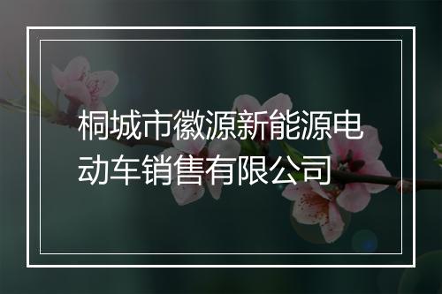 桐城市徽源新能源电动车销售有限公司