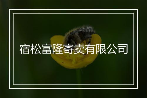 宿松富隆寄卖有限公司