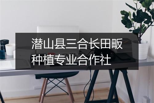 潜山县三合长田畈种植专业合作社