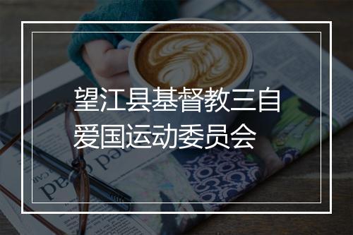 望江县基督教三自爱国运动委员会