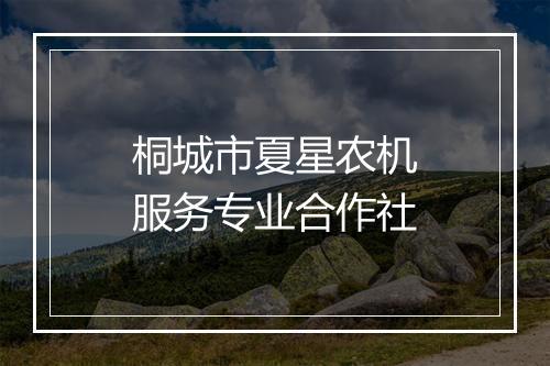 桐城市夏星农机服务专业合作社