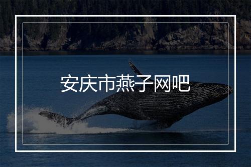 安庆市燕子网吧