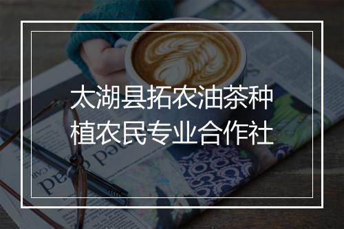 太湖县拓农油茶种植农民专业合作社