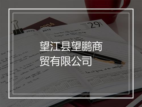 望江县望鹏商贸有限公司