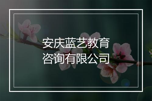 安庆蓝艺教育咨询有限公司
