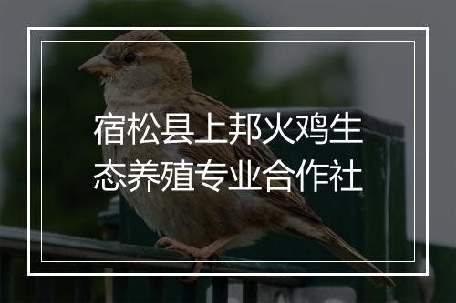 宿松县上邦火鸡生态养殖专业合作社