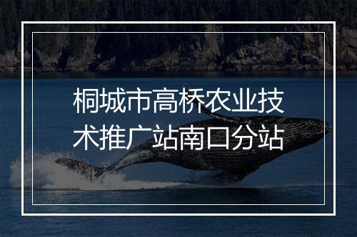 桐城市高桥农业技术推广站南口分站