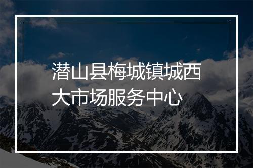 潜山县梅城镇城西大市场服务中心
