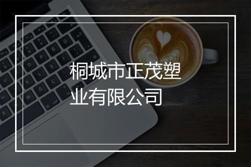 桐城市正茂塑业有限公司