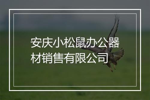 安庆小松鼠办公器材销售有限公司