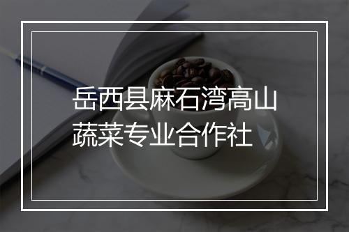 岳西县麻石湾高山蔬菜专业合作社