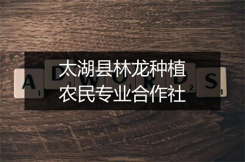 太湖县林龙种植农民专业合作社