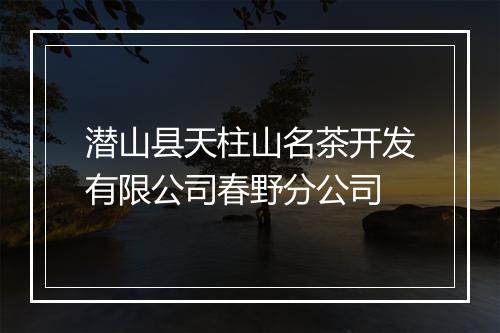 潜山县天柱山名茶开发有限公司春野分公司