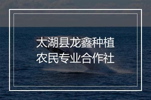太湖县龙鑫种植农民专业合作社