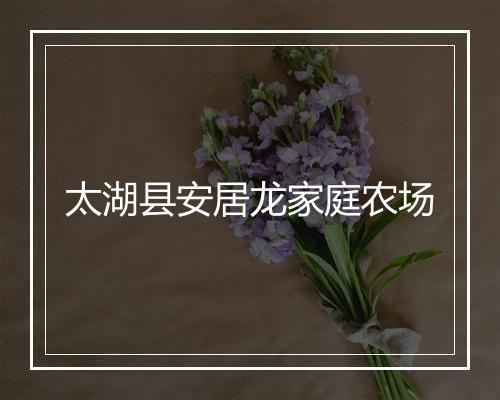 太湖县安居龙家庭农场