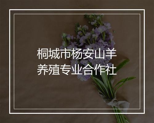 桐城市杨安山羊养殖专业合作社