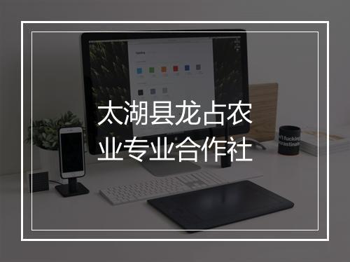 太湖县龙占农业专业合作社