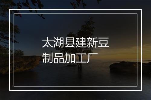 太湖县建新豆制品加工厂