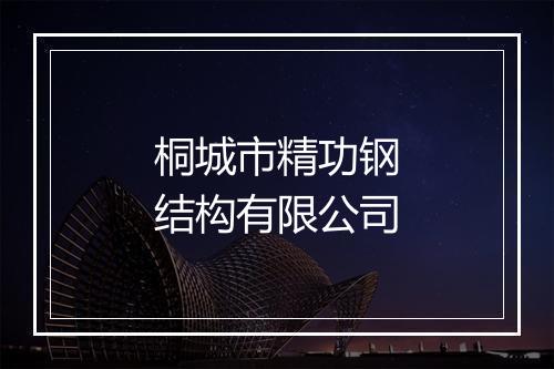 桐城市精功钢结构有限公司