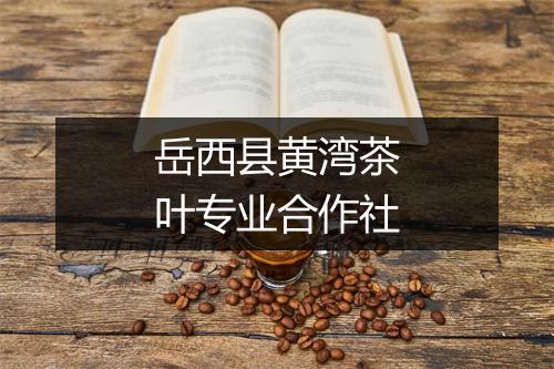 岳西县黄湾茶叶专业合作社