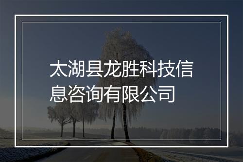 太湖县龙胜科技信息咨询有限公司