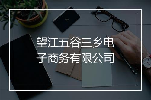 望江五谷三乡电子商务有限公司