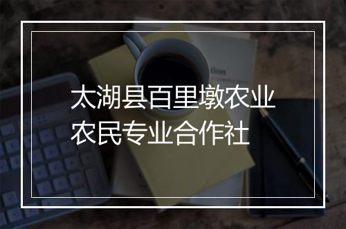 太湖县百里墩农业农民专业合作社