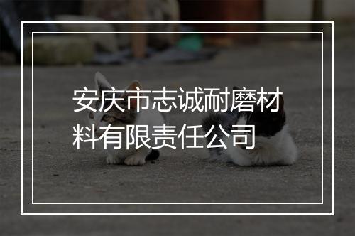 安庆市志诚耐磨材料有限责任公司