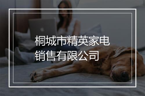 桐城市精英家电销售有限公司