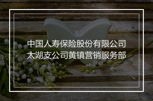 中国人寿保险股份有限公司太湖支公司黄镇营销服务部