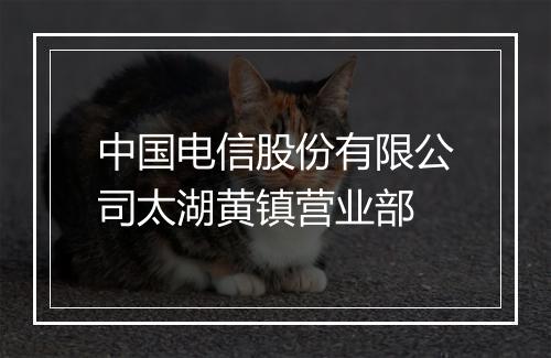 中国电信股份有限公司太湖黄镇营业部