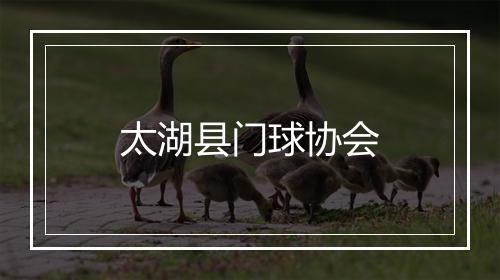 太湖县门球协会