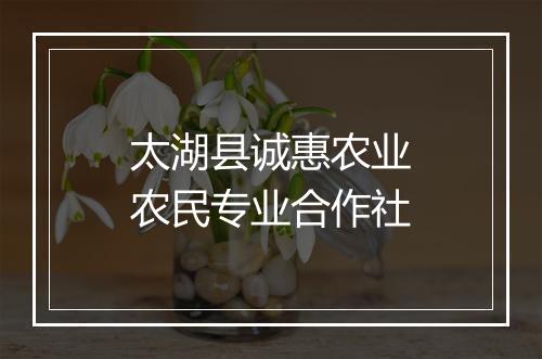 太湖县诚惠农业农民专业合作社