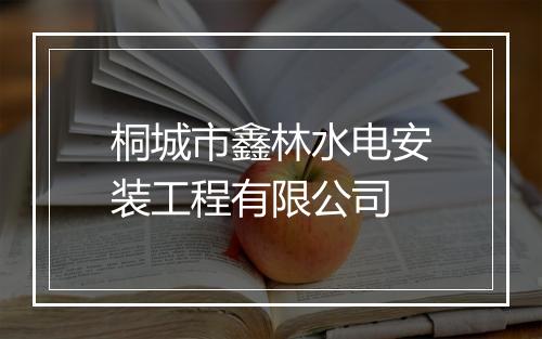 桐城市鑫林水电安装工程有限公司