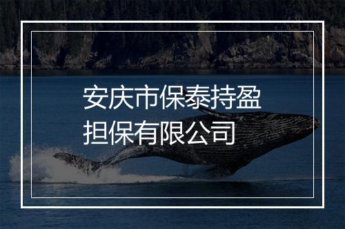 安庆市保泰持盈担保有限公司