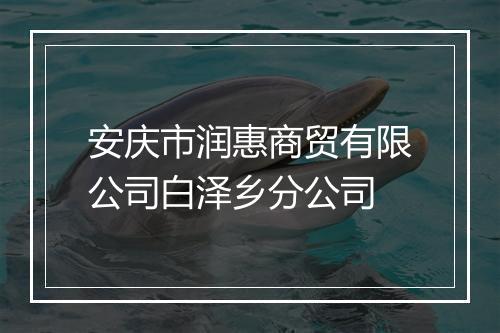 安庆市润惠商贸有限公司白泽乡分公司