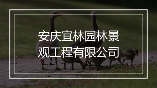 安庆宜林园林景观工程有限公司