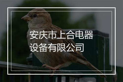安庆市上合电器设备有限公司