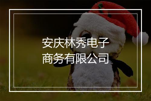 安庆林秀电子商务有限公司