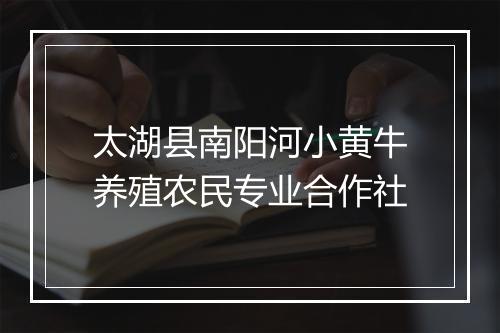 太湖县南阳河小黄牛养殖农民专业合作社