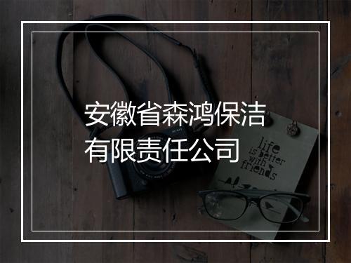 安徽省森鸿保洁有限责任公司