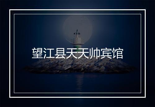 望江县天天帅宾馆